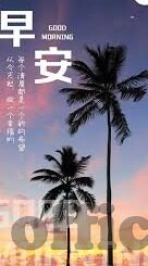bet007足球即时比分网足球比分直-bet007足球即时比分网，足球比分直播的真相揭秘